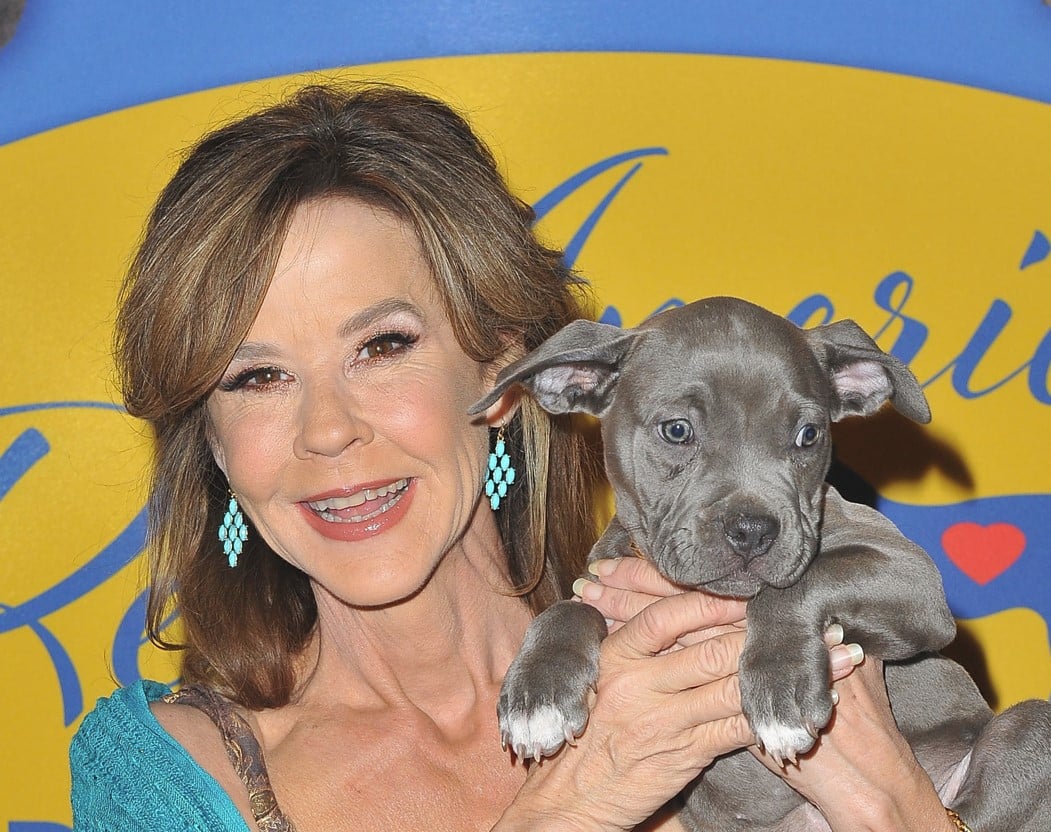 Jennifer Blaire Net Worth: Unpacking the $400K Fortune